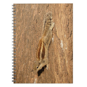Carnet Un écureuil de palme indien sur un tronc d'arbre