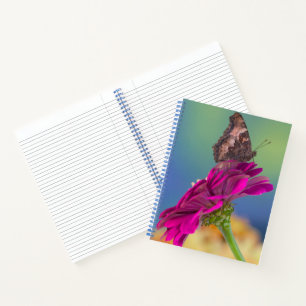 Carnet Un papillon Papilio multicaudatus