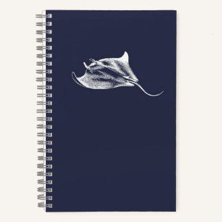 Carnet Un rayon parmi les étoiles