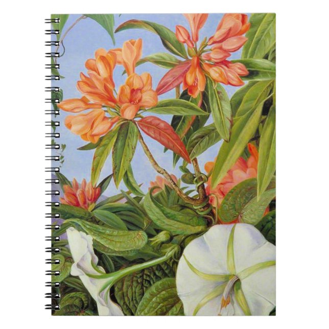 Carnet Un Rhododendrum et Ipomoea de Java (Devant)