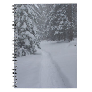 Carnet Un sentier neigeux
