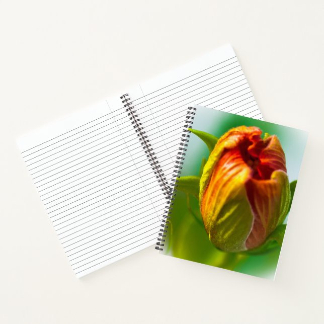 Carnet Un seul bouton (Intérieur)