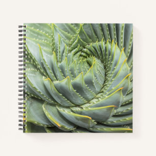 Carnet Un succès vert et blanc