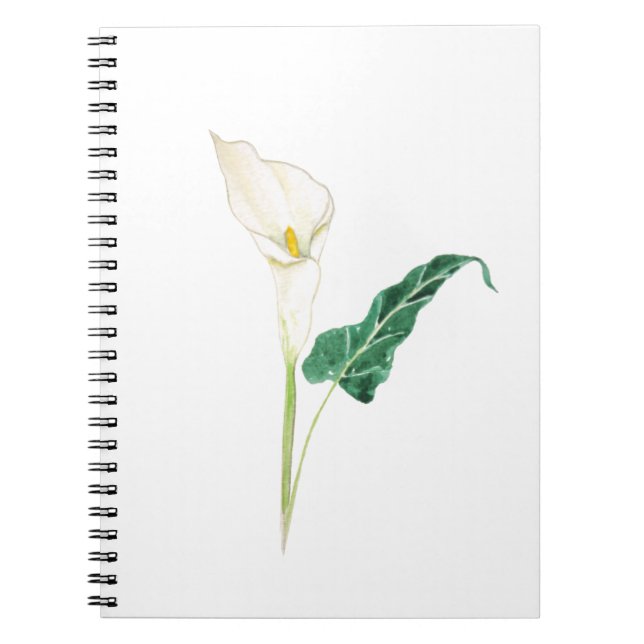 Carnet une aquarelle blanche calla lily (Devant)