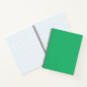 Carnet Une feuille verte vif avec des veines proéminentes