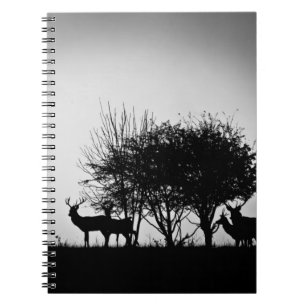 Carnet Une image de quelques cerfs communs dans la brume