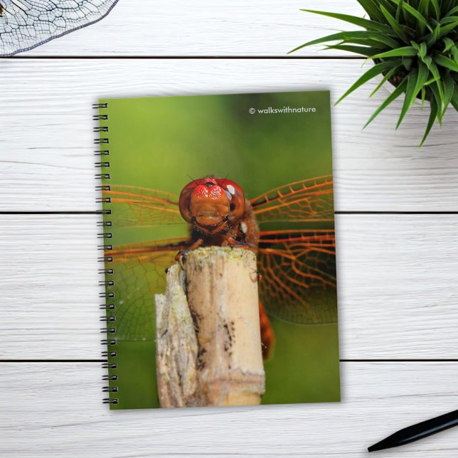 Carnet Une libellule rouge souriante (A Smiling Red Dragonfly Journal Cover Photo)