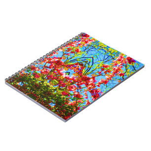 Carnet Une lumière différente