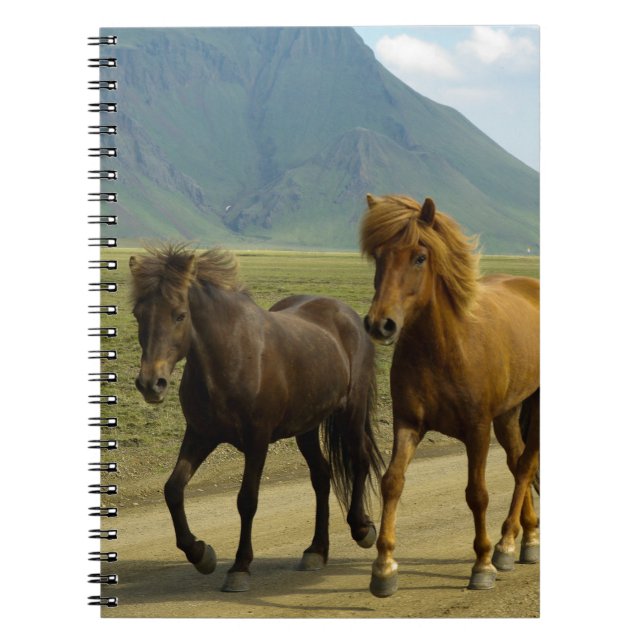 Carnet Une paire de poneys islandais Brown (Devant)