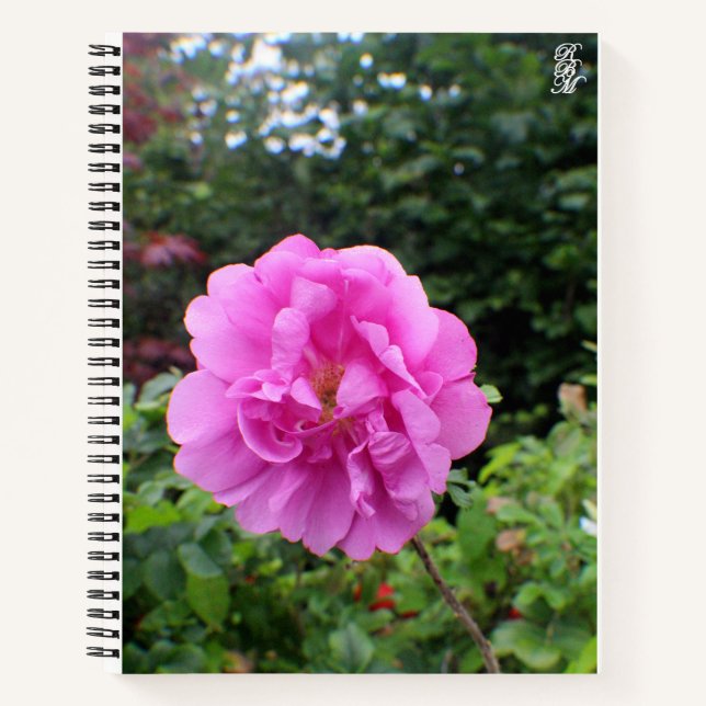 Carnet Une seule fleur rose (Devant)