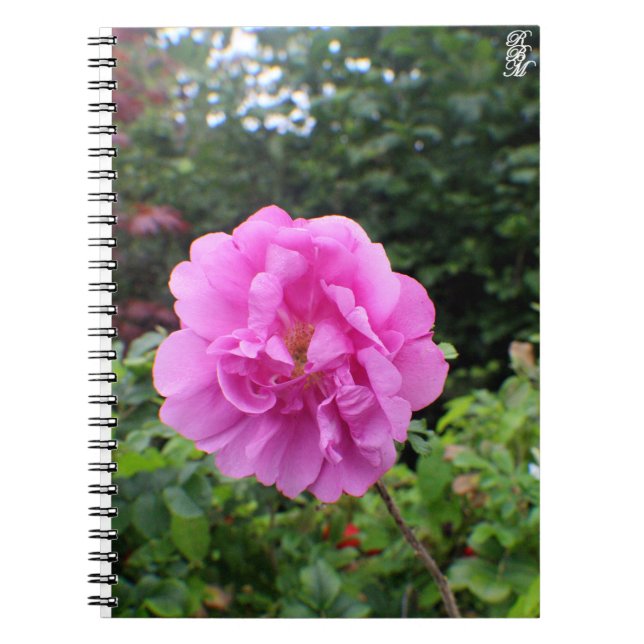Carnet Une seule fleur rose (Devant)