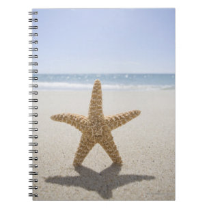 Carnet USA, Massachusetts, Cape Cod, Nantucket, fermeture
