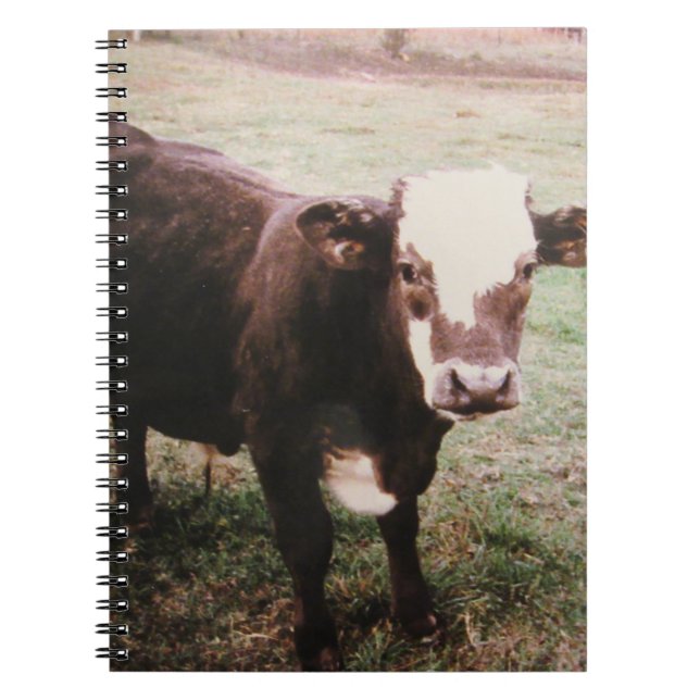 Carnet Vache à crème Brown (Devant)