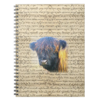 Carnet Vache de Highland