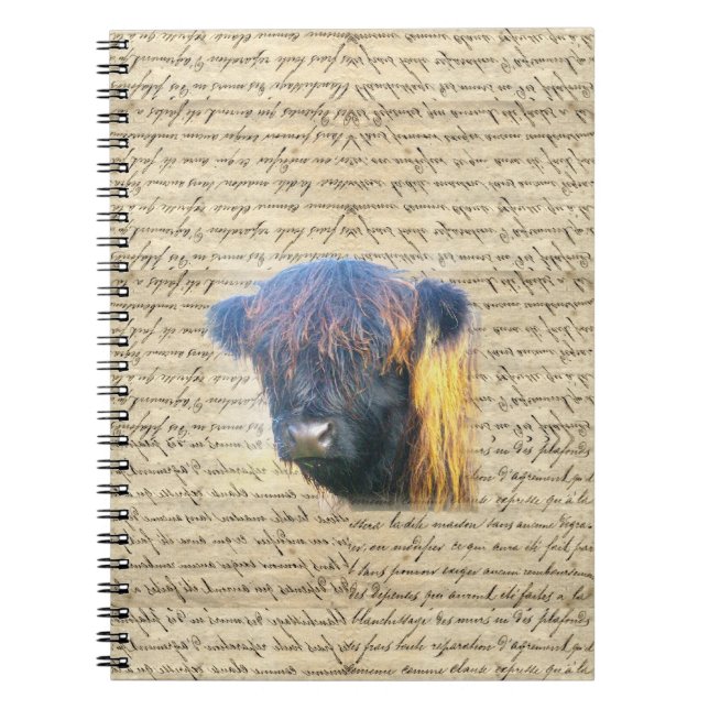 Carnet Vache de Highland (Devant)