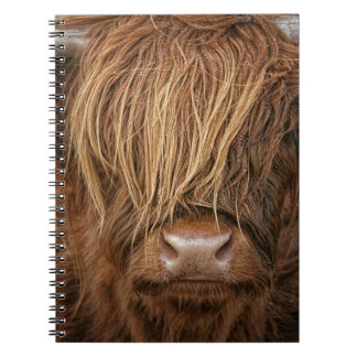 Carnet Vache des montagnes écossaise - Ecosse