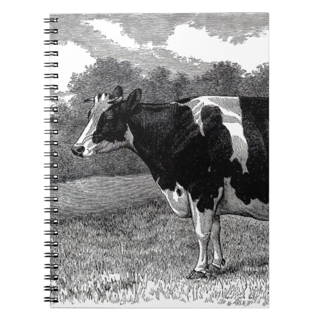 Carnet Vache vintage (Devant)