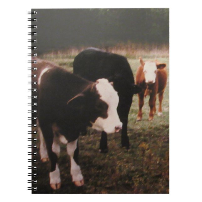 Carnet Vaches à crème Brown (Devant)