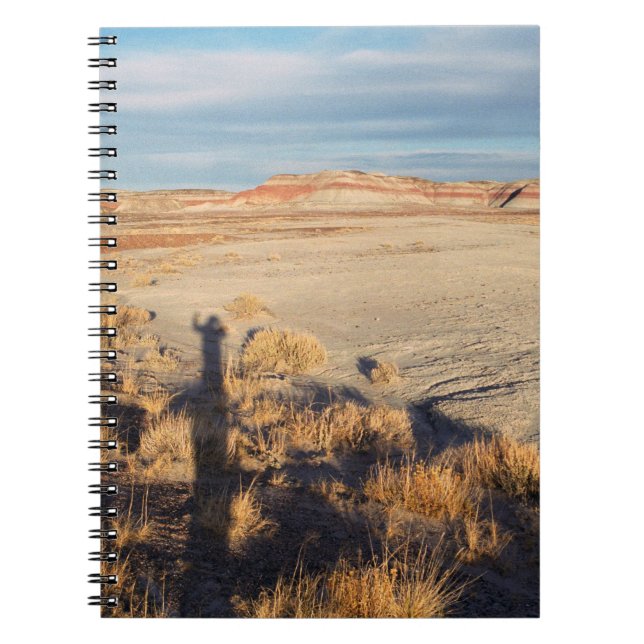 Carnet Vague du désert : Parc national de la Forêt Petrif (Devant)