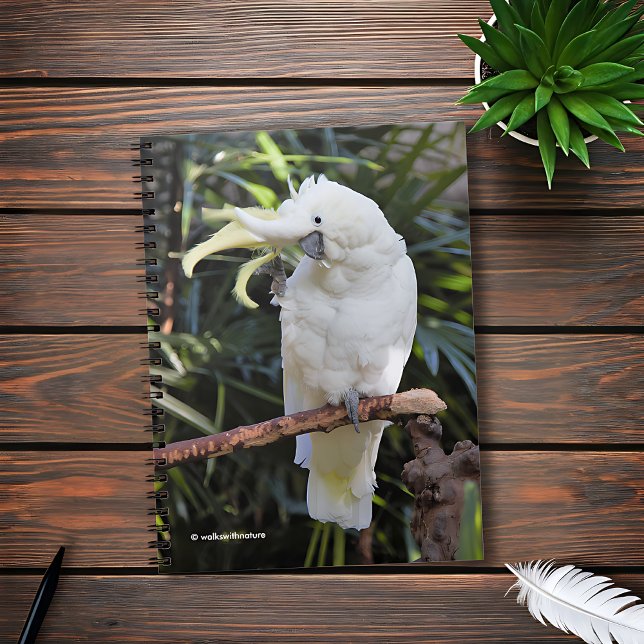 Carnet Vagues de Cockatoo au soufre au photographe (Friendly Sulfur-Crested Cockatoo Waves at the Photographer Journal Cover Photo)