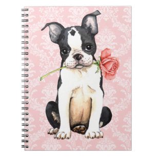 Carnet Valentine Boston rose Terrier