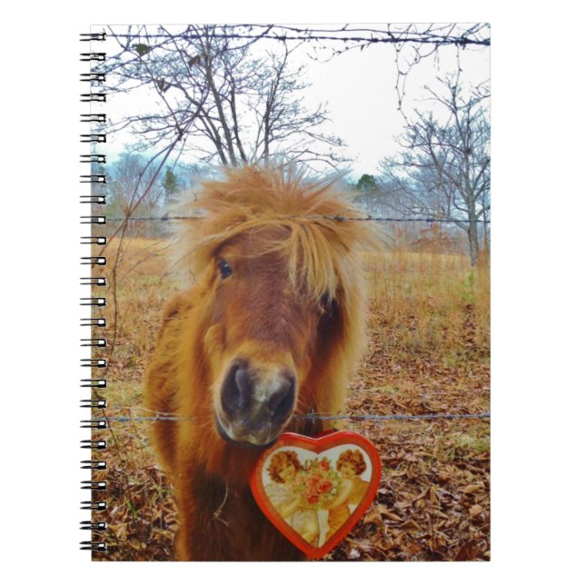 Carnet Valentine Heart Miniature Brown Horse (Devant)