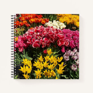 Carnet Variety of Tulips