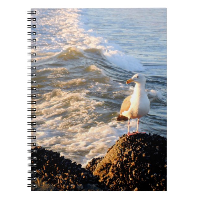 Carnet Venice Beach Seagull (Devant)