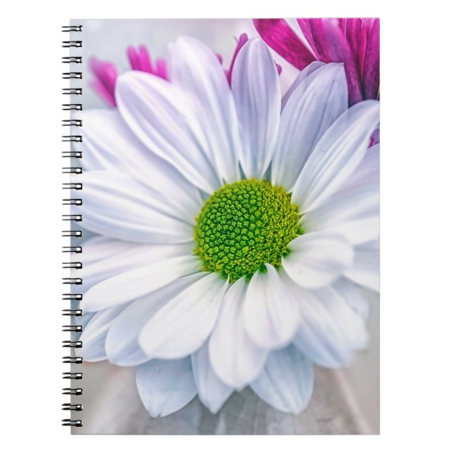 Carnet Verre cassé (Devant)