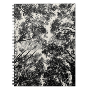 Carnet Vers le haut de par les arbres, images de SVP de