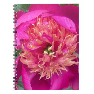 Carnet Vers le haut, point rose chaud