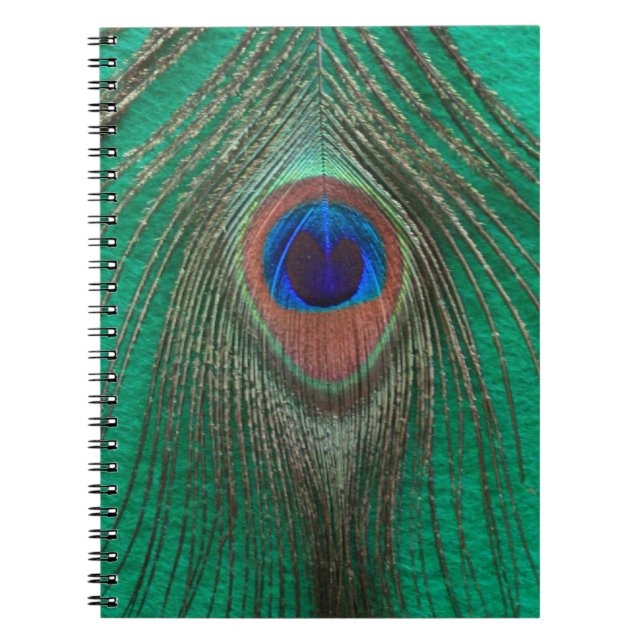 Carnet vert de plume de paon (Devant)