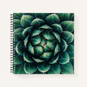 Carnet Vert et blanc Succulent