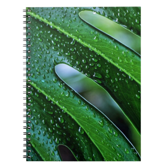 Carnet Vert feuille plante Monstera (Devant)
