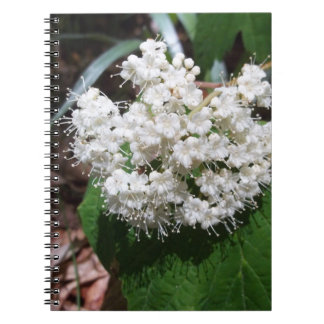 Carnet Viburnum de feuille d'érable