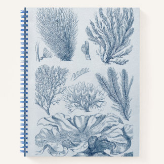 Carnet Vie marine nautique