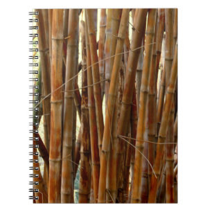 Carnet Vieux Bambou