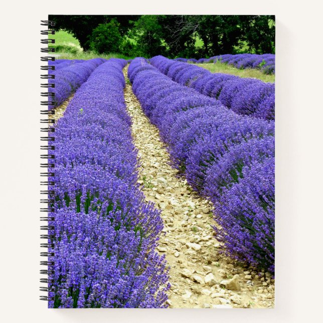 Carnet View of lavender fields in the Drôme provencale  (Devant)