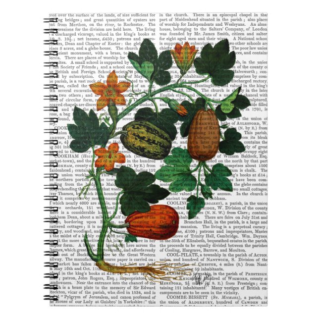 Carnet Vigne de squash 1 (Devant)