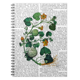 Carnet Vigne de squash 2