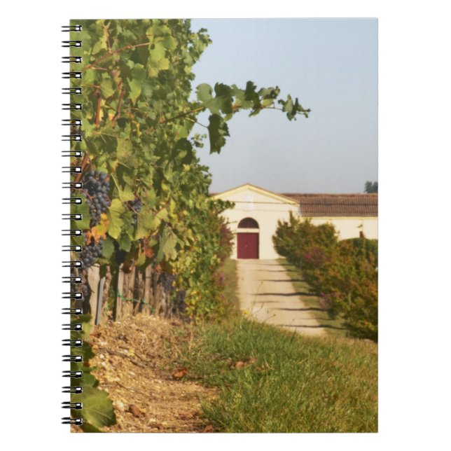 Carnet Vignobles, petites vignes de verdot et (Devant)