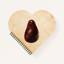 Vintage Avocado Illustration