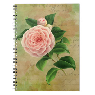 Carnet Vintage Camellia Botanique