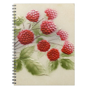 Carnet vintage de framboises