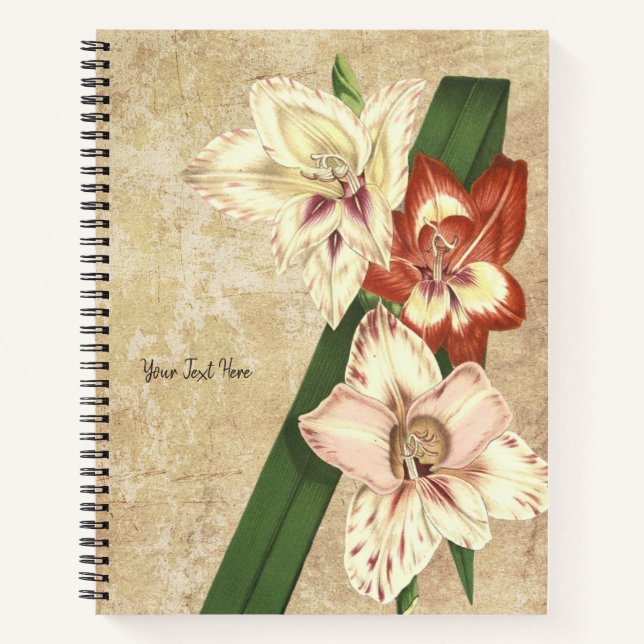 Carnet vintage de Gladioli (Devant)