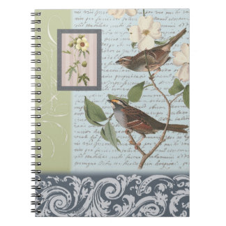Carnet vintage d'oiseaux…
