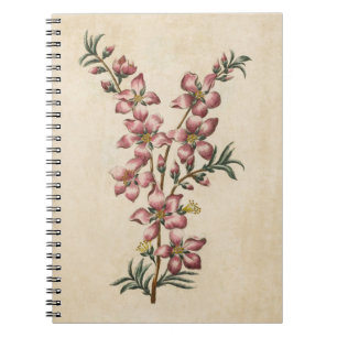 Carnet Vintage fleur d'amandes végétales