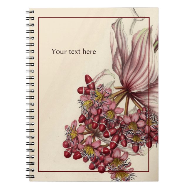 Carnet vintage Medinilla Magnifica (Devant)