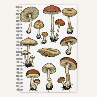 Carnet Vintage Mushrooms Notebook
