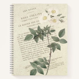 Carnet Vintage Rosa Collina